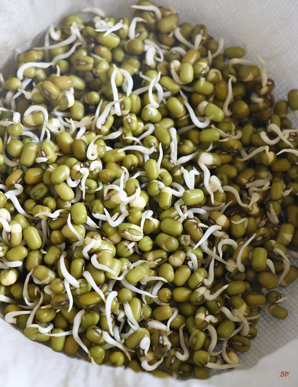 Green Moong Dal – Premium Whole Green Gram by Kashmir Foods 3 Green Moong Dal Sprouts