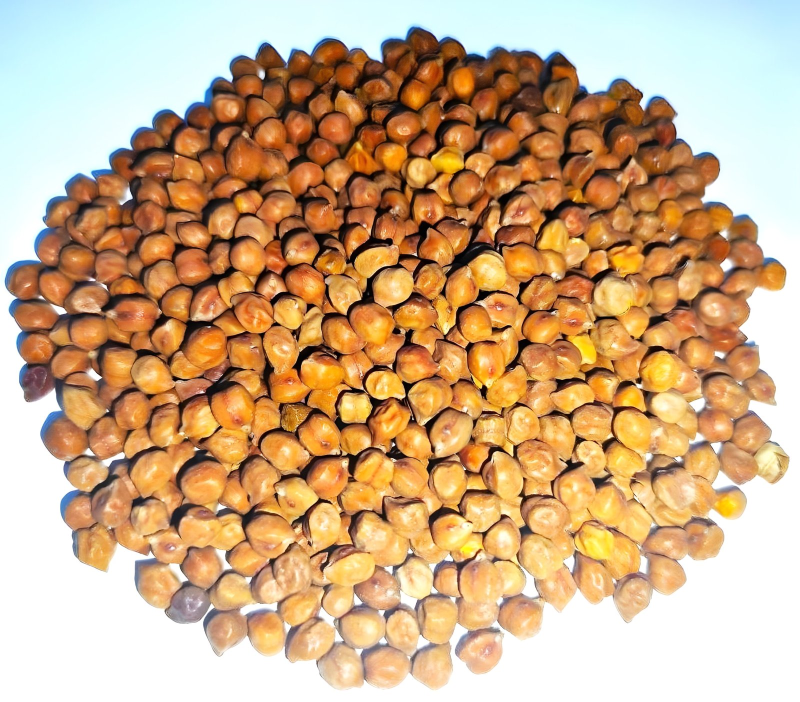 🫘 Kashmiri Kalla Channa (Black Chickpeas) – by Kashmir Foods 1 🫘 Kashmiri Kalla Channa (Black Chickpeas) – by Kashmir Foods