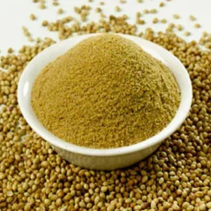 Kashmir Foods Coriander Powder | 100% Pure & Aromatic Dhaniya Powder | Freshly Ground Spice from Kashmir